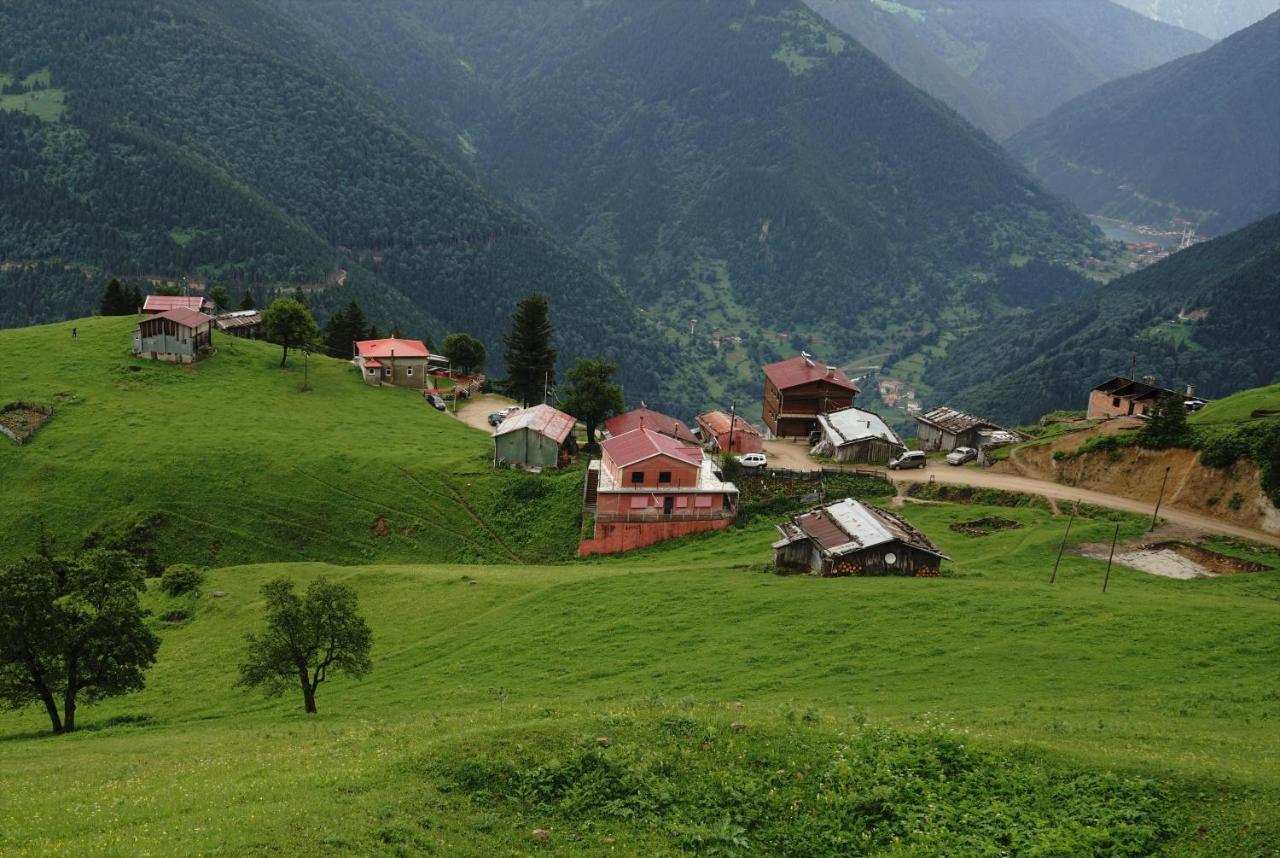 Glisura Apart Uzungöl Exterior foto