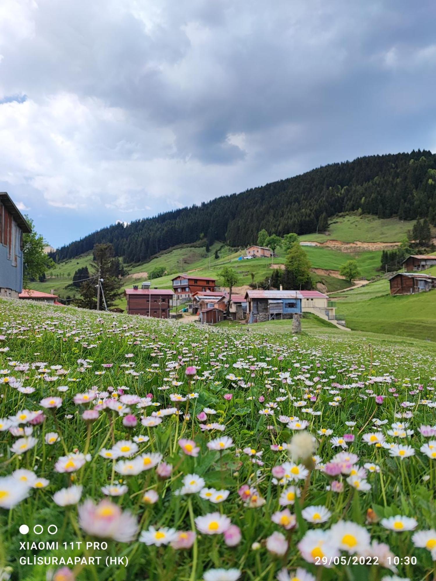 Glisura Apart Uzungöl Exterior foto