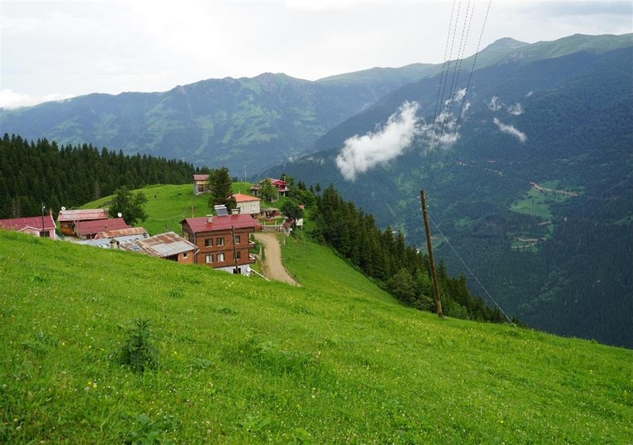 Glisura Apart Uzungöl Exterior foto