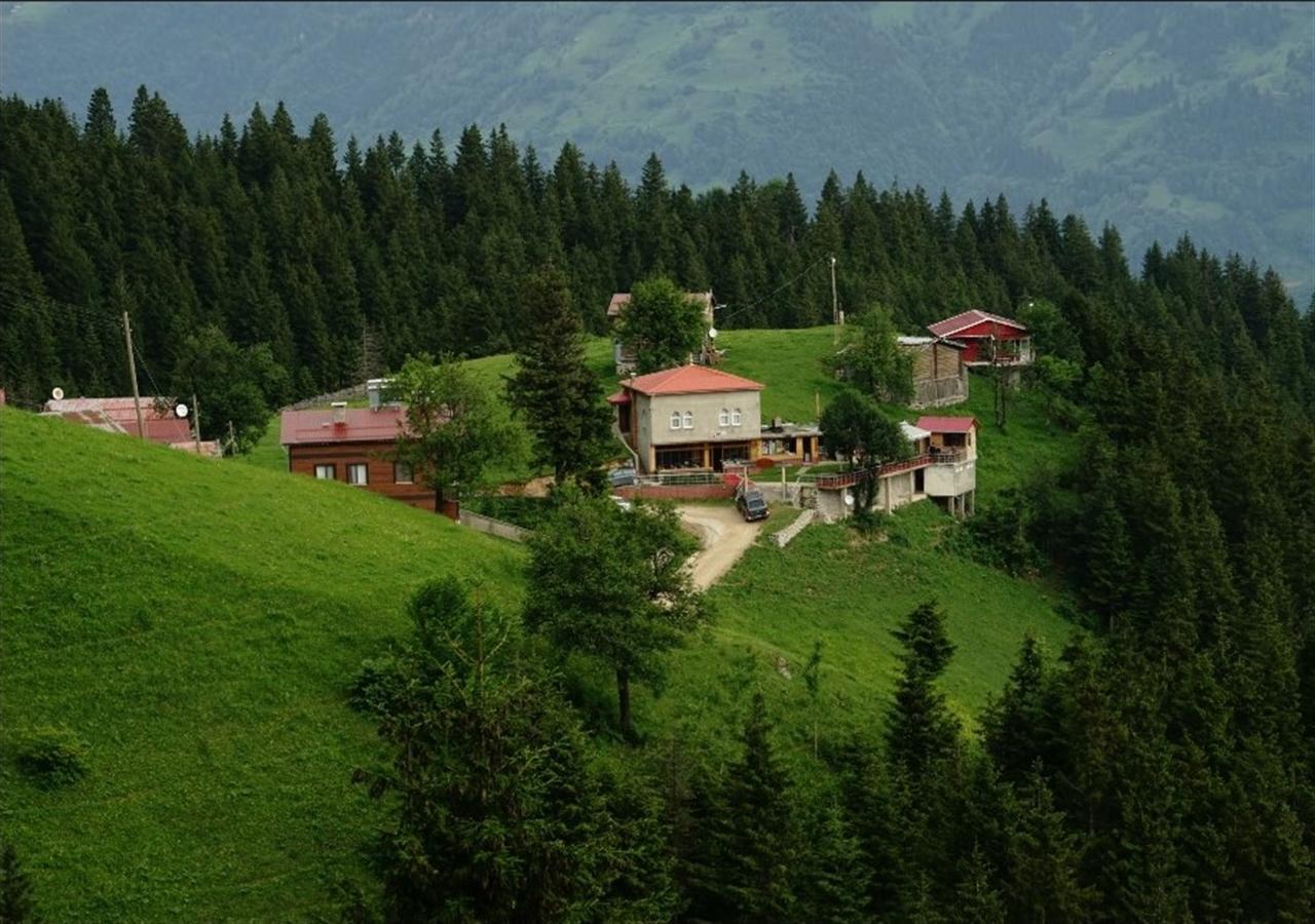 Glisura Apart Uzungöl Exterior foto