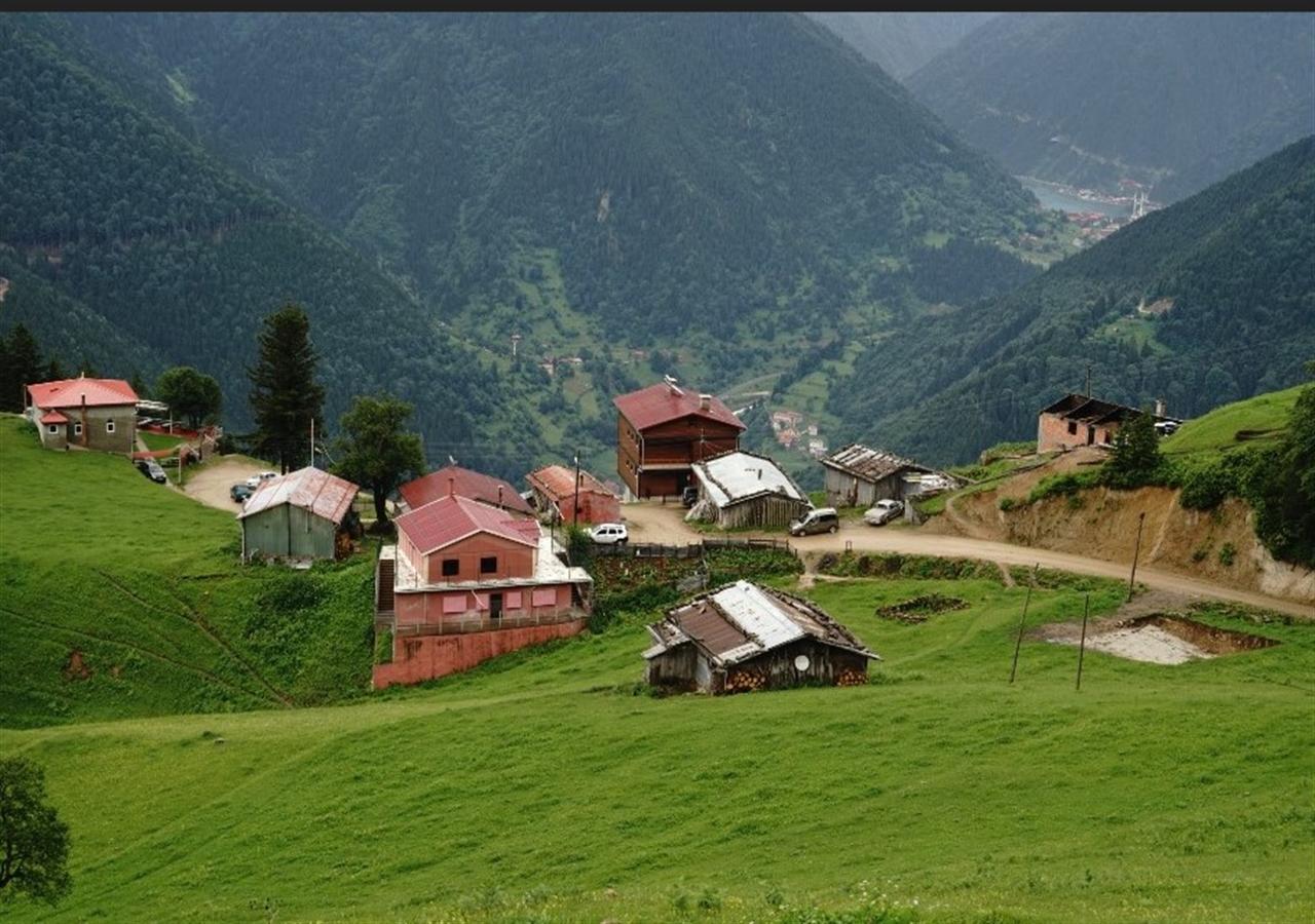 Glisura Apart Uzungöl Exterior foto