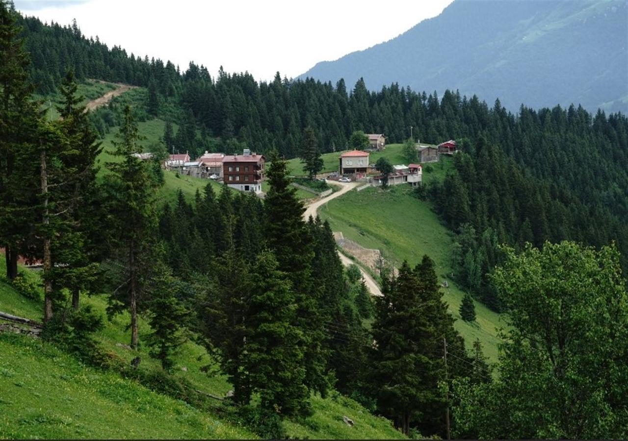 Glisura Apart Uzungöl Exterior foto